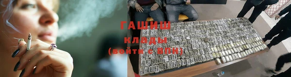 дмт Алзамай