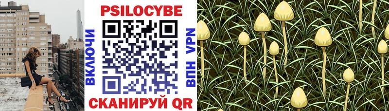 Псилоцибиновые грибы мухоморы Нововоронеж